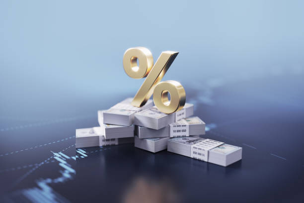 금리 고점 구간에서 QQQ보다 SPY가 강했던 실제 이유