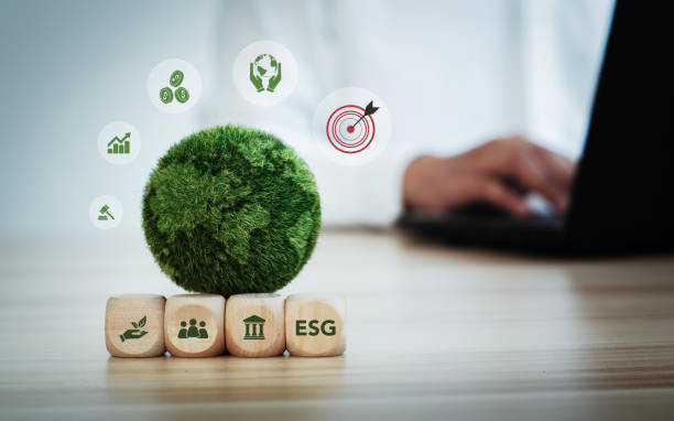 SPY QQQ VTI 중 장기 우승자