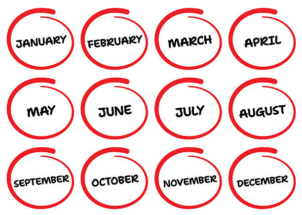 매달 1000달러씩 25년 투자